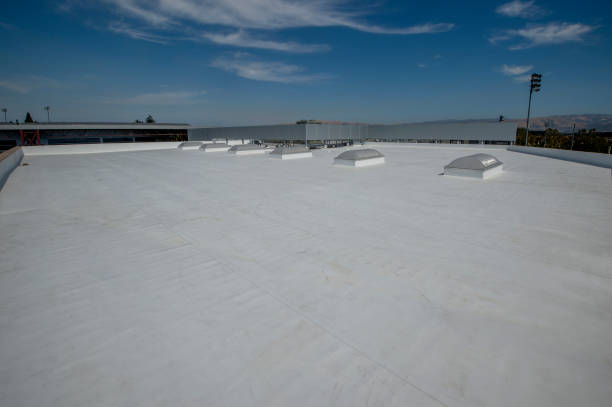 Professional Roofing Service in Orland Hills, IL