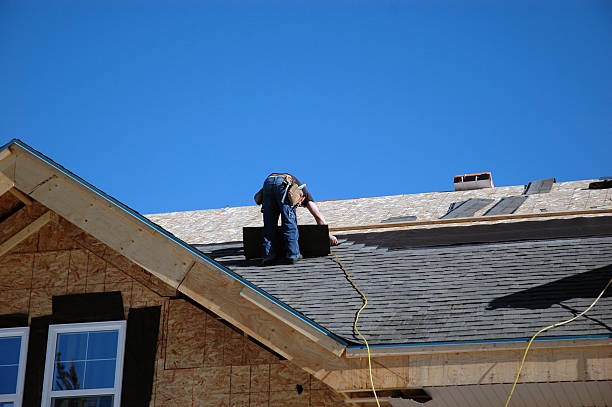 Best Roof Moss and Algae Removal  in Orland Hls, IL