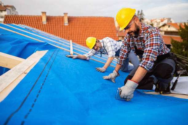 Best Roof Ventilation Installation  in Orland Hls, IL