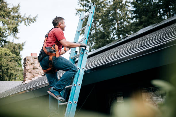 Best Roof Insulation Installation  in Orland Hls, IL