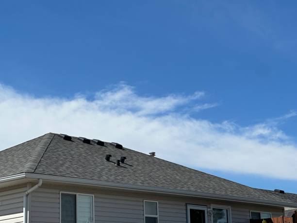 Best Solar Panel Roofing Installation  in Orland Hls, IL